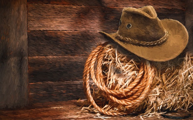 lasso-1202578_640
